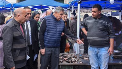 محافظ الإسكندرية يتفقد «سوق اليوم الواحد» بمنطقة أبو يوسف بالعجمي 
