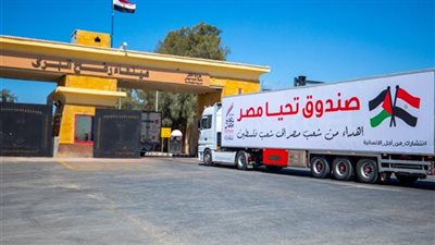 توقف إدخال المساعدات اليوم إلى غزة واستئنافها غدًا لهذا السبب (فيديو)