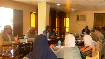 محافظ أسوان يتابع اجتماع اللجنة الإقليمية لاختيار الأم المثالية لعام 2025