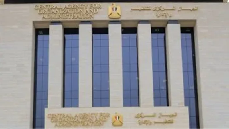 التنظيم والادارة 
