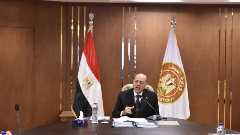 وزير العمل 