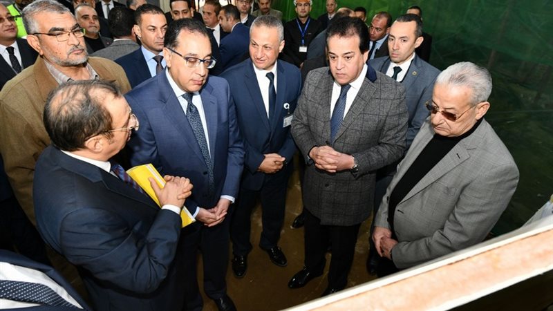 إنفو جراف