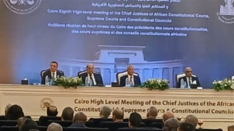 المستشار طارق شبل