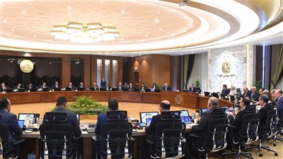 منها 54% فقط تحقق أرباحا.. تقرير حكومي يكشف إحصائيات شركات الدولة