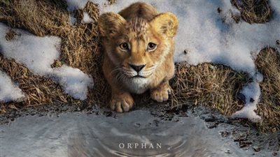 تخطت 626 مليون دولار.. «Mufasa: The Lion King» يحقق إيرادات قياسية خلال شهر