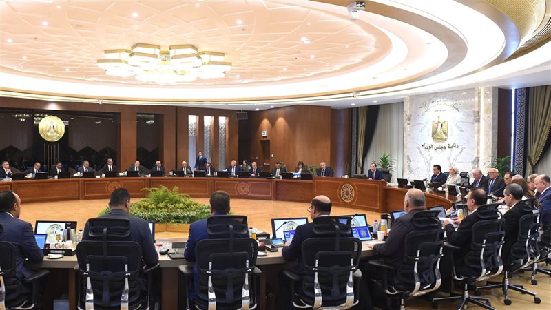 الحكومة المصرية