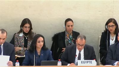 وزير الخارجية من جنيف: لا يوجد في مصر مخيم واحد للاجئين