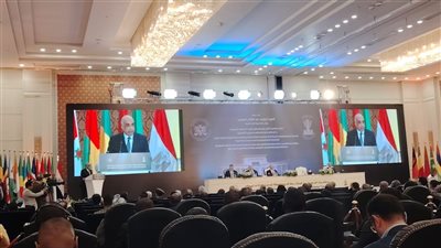 الدستورية تعلن تفاصيل مناقشة الرقابة على التشريعات الاستثنائية