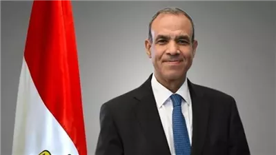 وزير الخارجية: فخور بأداء الوفد المصري في المراجعة الدورية لحقوق الإنسان