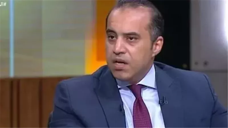 المستشار محمود فوزي، وزير الشئون النيابية والقانونية