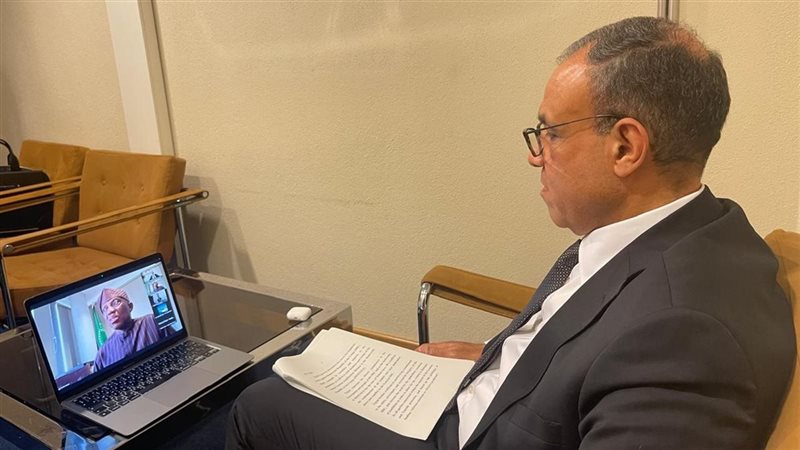 وزير الخارجية بدر عبد العاطي 