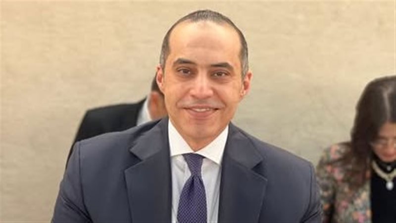 المستشار محمود فوزي