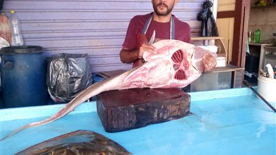 أغرب أنواع الأسماك في أسواق دمياط وأشهر طرق طهيها