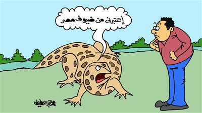 على طريقة الجمهور.. الورل النيلي من الزواحف الآمنة
