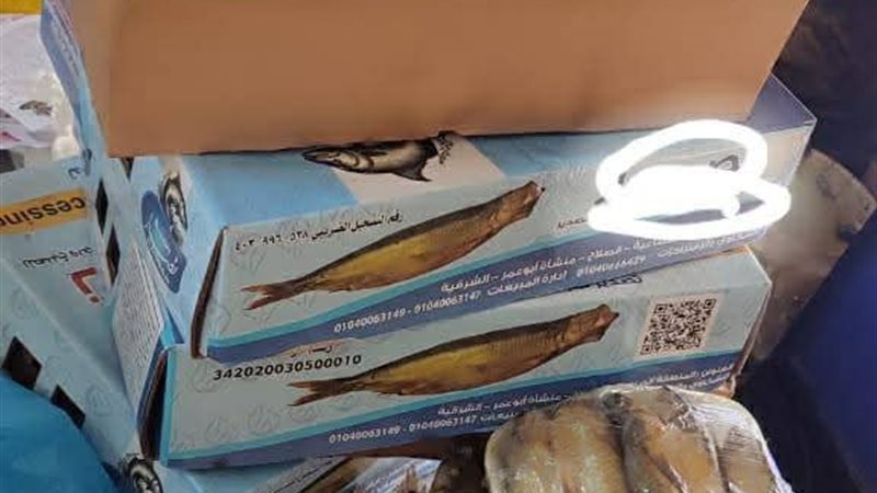ارشيفية 