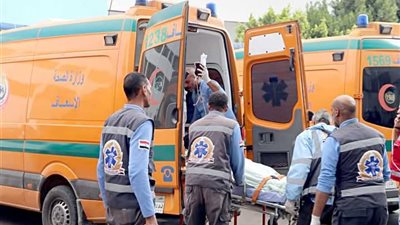 مصرع شاب من ذوي الهمم وإصابة آخر إثر حادث تصادم في المنوفية
