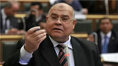 ناجى الشهابي: نطالب الهيئة الوطنية للانتخابات بقرار تنظيمي ملزم بشأن إجراءات الفرز  