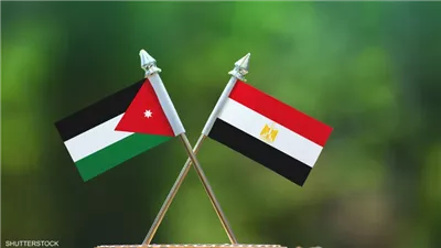 أستاذ علاقات دولية: الدعم العربي لمصر والأردن وراء التراجع الأمريكي بشأن مقترح ترامب