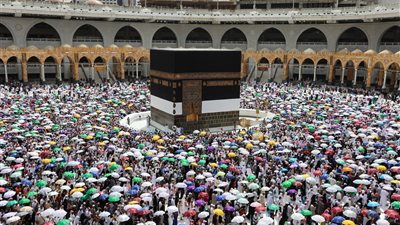 «الغرف السياحية»: آليات مدروسة لضمان تقديم أفضل الخدمات للحجاج