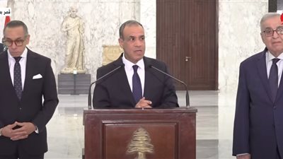 وزير الخارجية: مصر تدين الاستهداف الإسرائيلي غير المبرر للمدنيين اللبنانيين