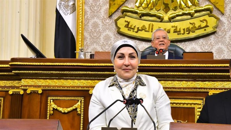 النائبة الدكتورة هالة أبو السعد 