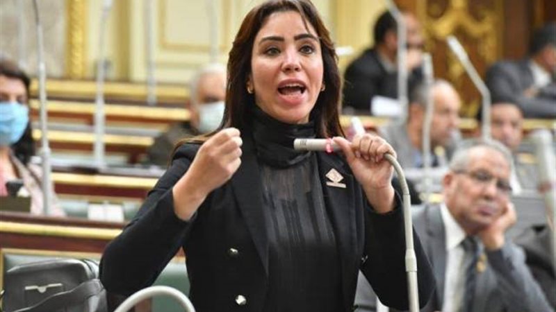 النائبة غادة على عضو مجلس النواب