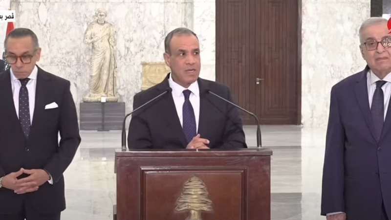 الدكتور بدر عبد العاطي، وزير الخارجية