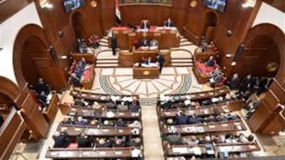 تشديد الرقابة على مراكز إنقاص الوزن.. أهم مناقشات مجلس الشيوخ الأحد
