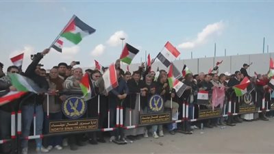 برلمانيون وأحزاب يشاركون في الوقفة التضامنية مع غزة أمام معبر رفح