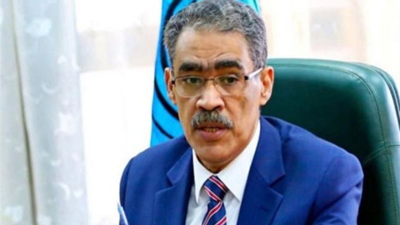 ضياء رشوان وزير الاعلام