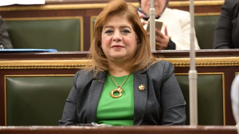 هناء أنيس 