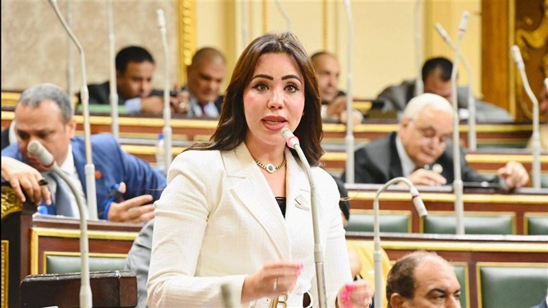 النائبة الدكتورة غادة علي، عضو مجلس النواب