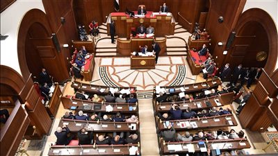 مجلس الشيوخ يناقش تطوير منظومة التعليم الجامعي والبحث العلمي اليوم