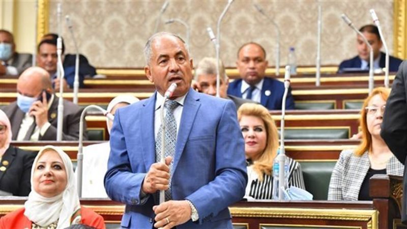 رئيس لجنة الدفاع والأمن القومي بمجلس النواب