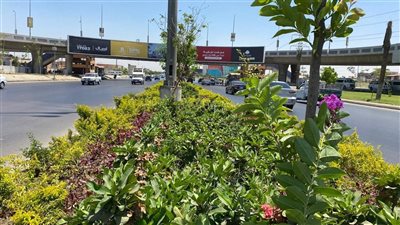 جهود مكثفة لتطوير المساحات الخضراء في 6 أكتوبر