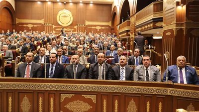«زراعة الشيوخ»: الأمن الغذائي مفتاح الحياة الكريمة للمواطنين