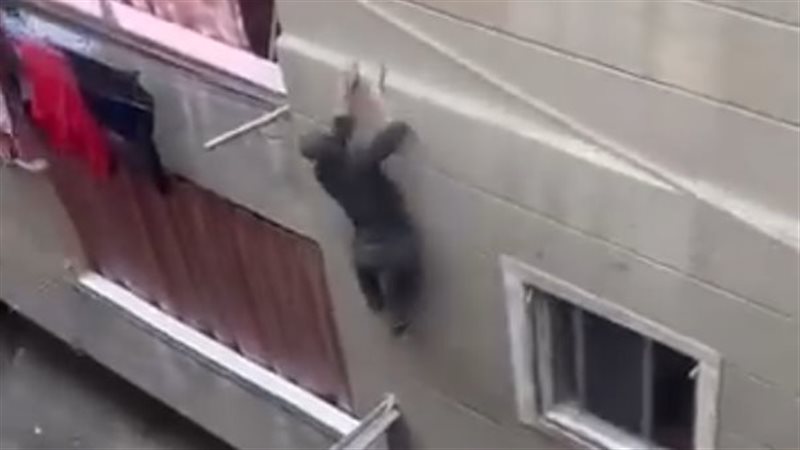 القبض على لص فى شبرا 