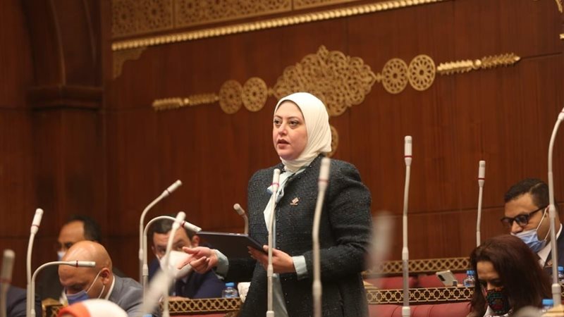  النائبة نهى زكي عضو مجلس الشيوخ 