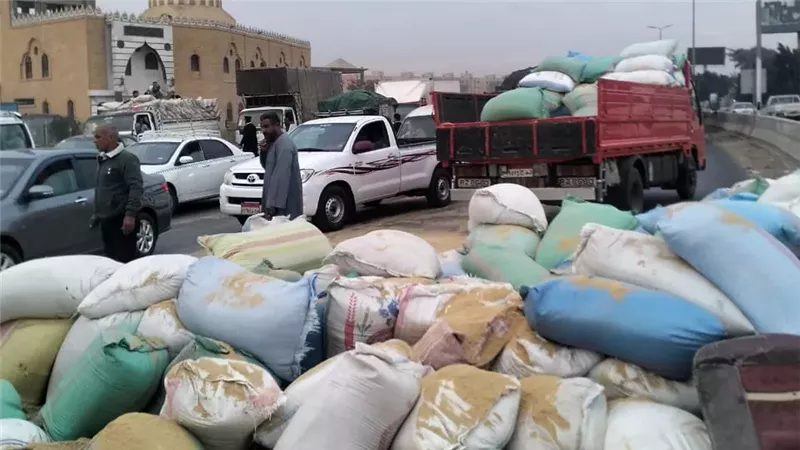 صورة من الواقع 