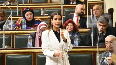 خارجية النواب: الحوار الوطني أداة حقيقية لدعم الدولة
