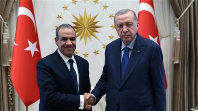 وزير الخارجية والهجرة يجتمع مع الرئيس التركي رجب أردوغان