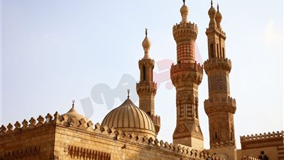 موقع الجمهور في جولة بشارع المعز لدين الله الفاطمي (صور)