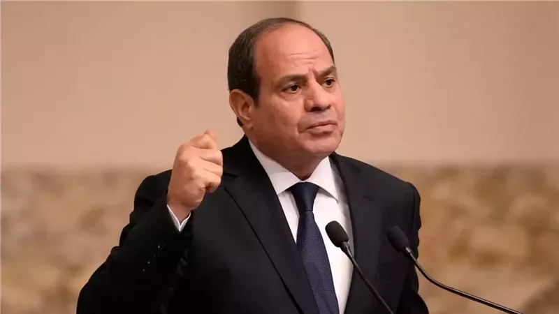 الرئيس عبد الفتاح السيسي 