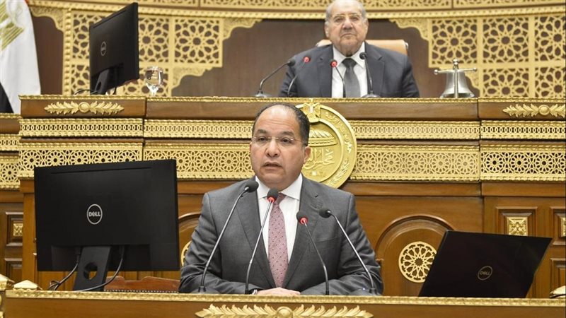 النائب عادل اللمعي، عضو مجلس الشيوخ