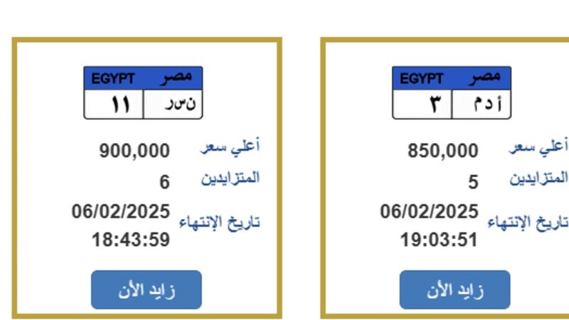 لوحات المرور المميزة 