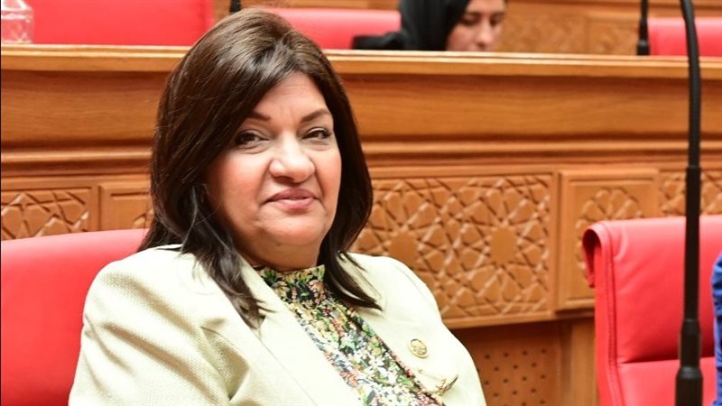 النائبة ايفلين متى