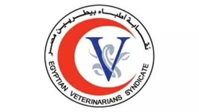 اليوم..اجراء انتخابات التجديد النصفي لنقابة الأطباء البيطريين بفرعي القاهرة والجيزة 