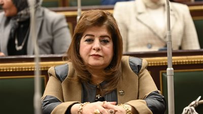 عضو بـ «خارجية النواب»: خطاب 3 يوليو 2013 لحظة فاصلة في مسار الدولة المصرية