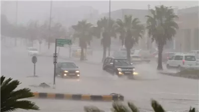 «الأرصاد» تحذر من عودة ظاهرة جوية تؤثر على الطرق.. غدًا