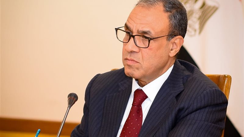 وزير الخارجية والهجرة بدر عبد العاطي